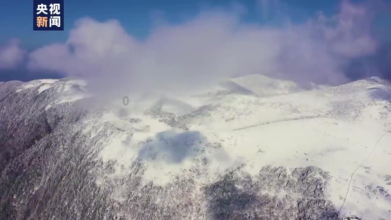 拯救电力塔的泰坦
